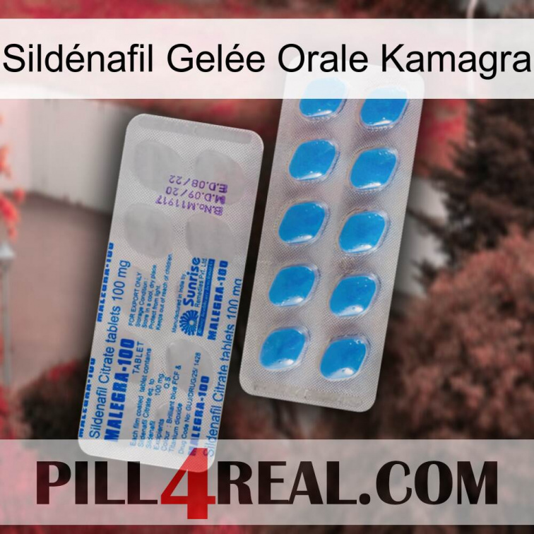 Sildénafil Gelée Orale Kamagra new15